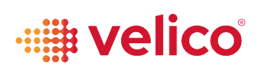 Velico Medical logo, Blue Goat Cyber client