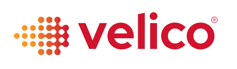 Velico Medical logo, Blue Goat Cyber client
