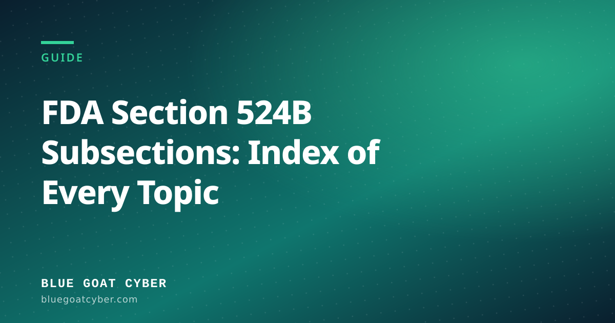 Hero illustration for the article: FDA Section 524B Subsections: Index of Every Topic